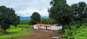 Kittu's Farm